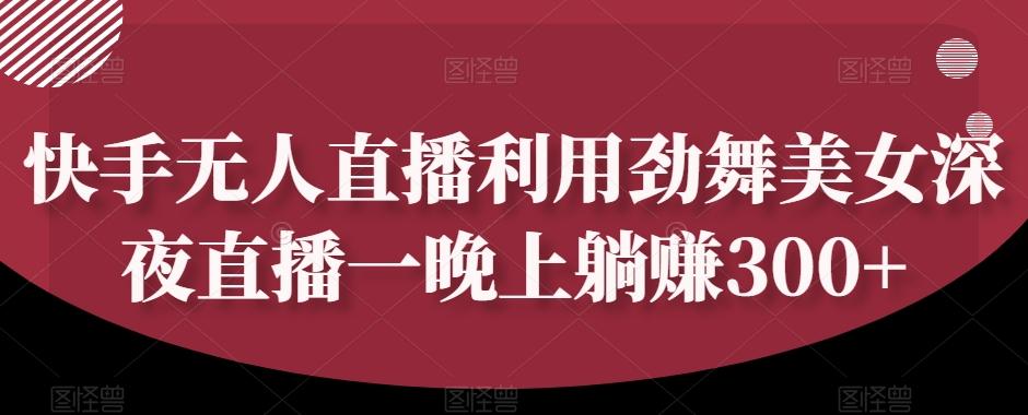 快手无人直播利用劲舞美女深夜直播一晚上躺赚300+-翻身站