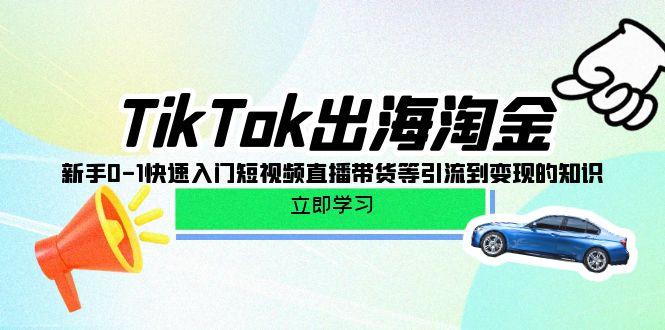 (10035期)TikTok-出海淘金，新手0-1快速入门短视频直播带货等引流到变现的知识-翻身站