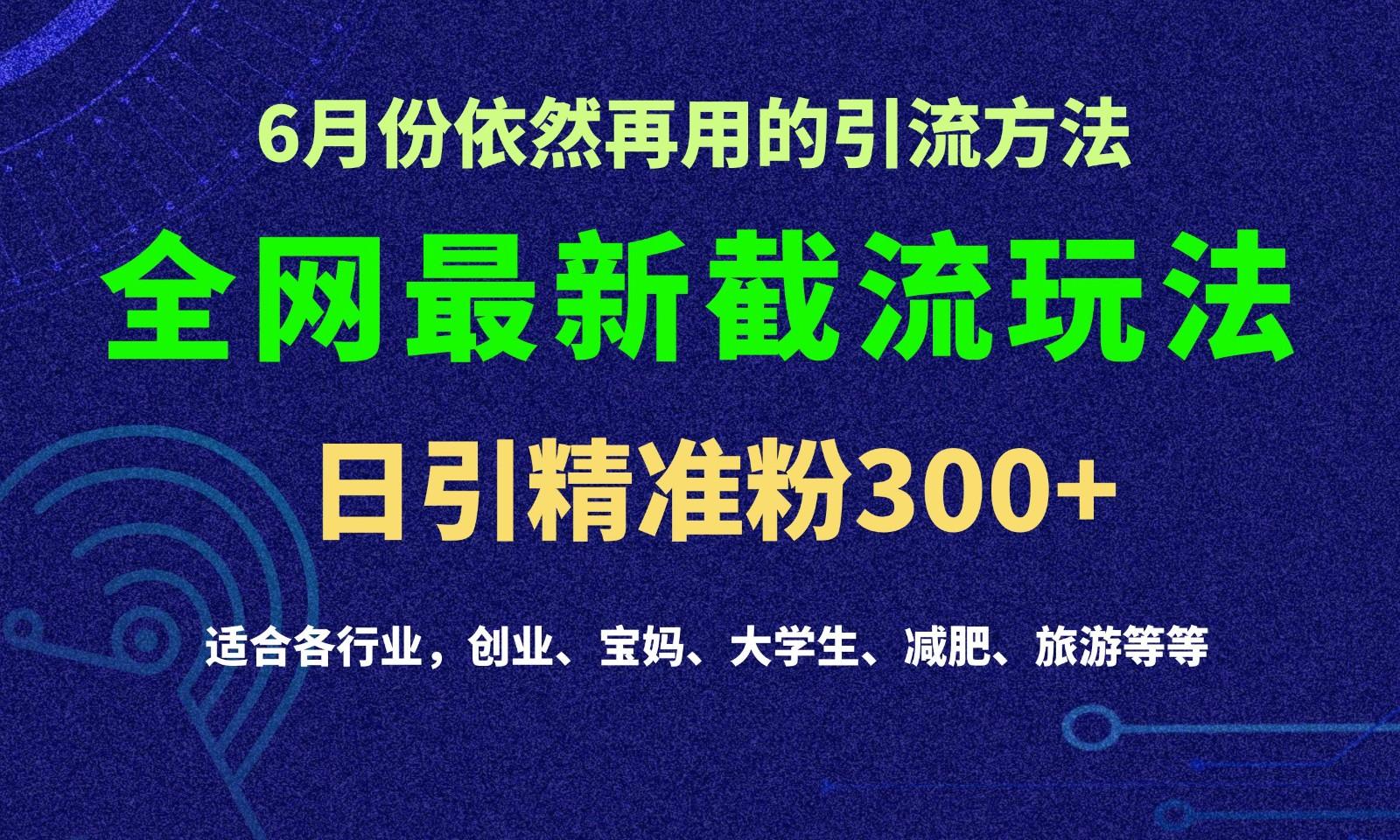 2024全网最新截留玩法，每日引流突破300+-翻身站