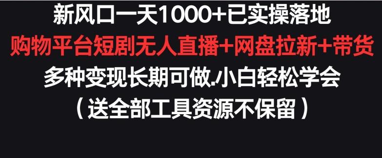 新风口一天1000+已实操落地购物平台短剧无人直播+网盘拉新+带货多种变现长期可做【揭秘】-翻身站