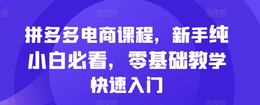 拼多多电商课程，新手纯小白必看，零基础教学快速入门-翻身站