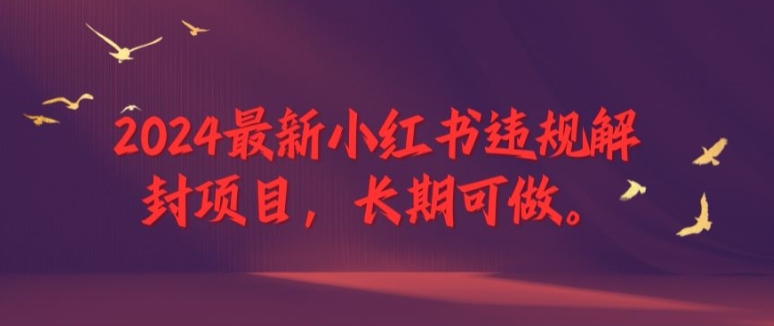 2024最新小红书违规解封项目，长期可做，一个可以做到退休的项目【揭秘】-翻身站
