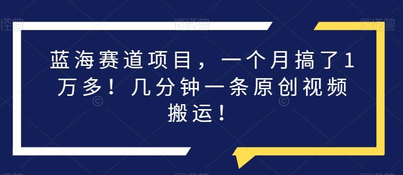蓝海赛道项目，一个月搞了1万多！几分钟一条原创视频搬运！-翻身站