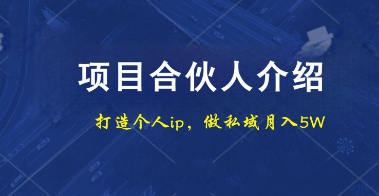 项目合伙人项目，打造个人IP，做私域月入5W，小白勿扰-翻身站