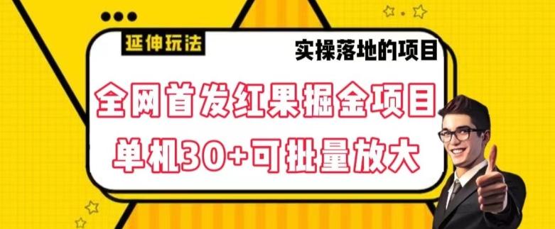 全网首发红果免费短剧掘金项目，单机30+可批量放大【揭秘】-翻身站