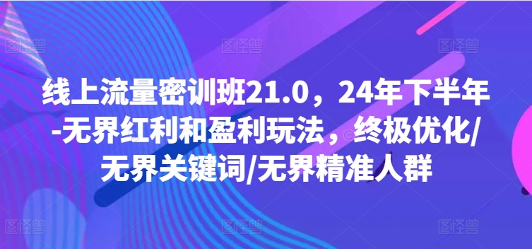 线上流量密训班21.0，24年下半年-无界红利和盈利玩法，终极优化/无界关键词/无界精准人群-翻身站