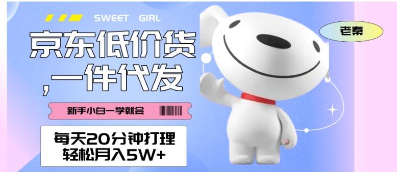 每天20分钟打理京东低价货，一件代发-轻松月入5W＋-翻身站