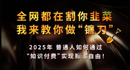 知识付费如何做到月入过W+，2025我来教你做“镰刀”【揭秘】-翻身站
