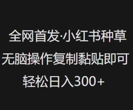全网首发，小红书种草无脑操作，复制黏贴即可，轻松日入3张-翻身站