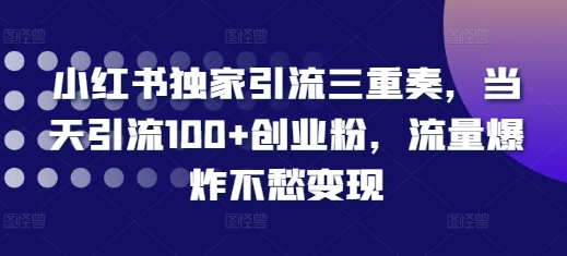 小红书独家引流三重奏，当天引流100+创业粉，流量爆炸不愁变现【揭秘】-翻身站