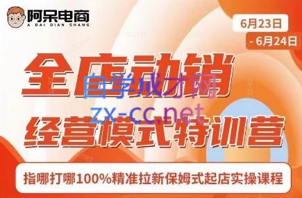 阿呆电商·全店动销经营模式特训营(线下录音+思维导图)-翻身站