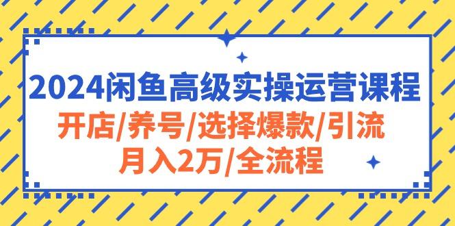 2024闲鱼高级实操运营课程：开店/养号/选择爆款/引流/月入2万/全流程-翻身站