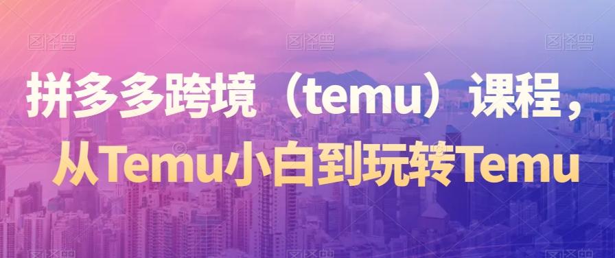 拼多多跨境（temu）课程，从Temu小白到玩转Temu-翻身站