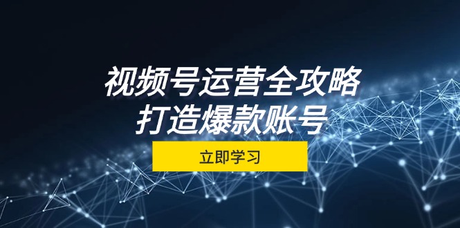 视频号运营全攻略，从定位到成交一站式学习，视频号核心秘诀，打造爆款…-翻身站