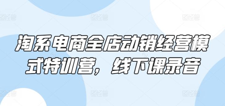 淘系电商全店动销经营模式特训营，线下课录音-翻身站