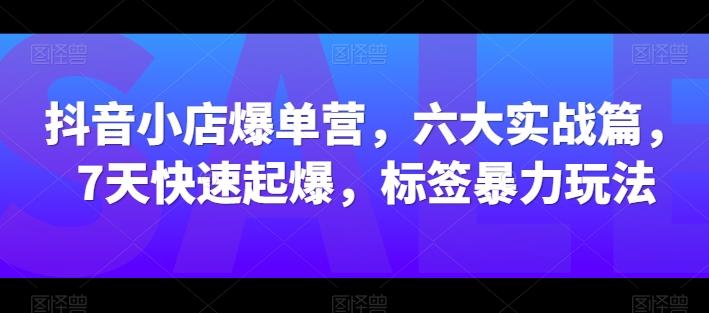 抖音小店爆单营，六大实战篇，7天快速起爆，标签暴力玩法-翻身站