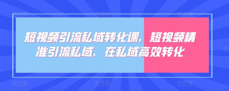 短视频引流私域转化课，短视频精准引流私域，在私域高效转化-翻身站