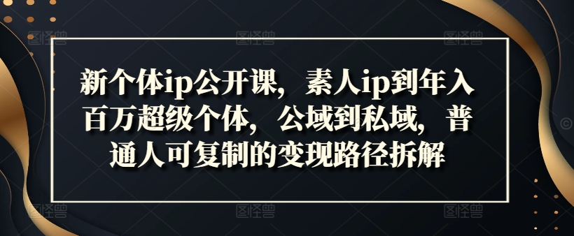 新个体ip公开课，素人ip到年入百万超级个体，公域到私域，普通人可复制的变现路径拆解-翻身站