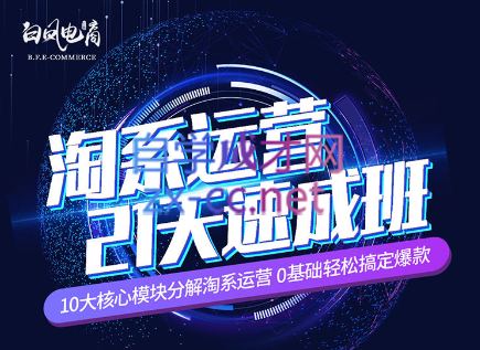 淘系运营21天速成班(更新7月)-翻身站