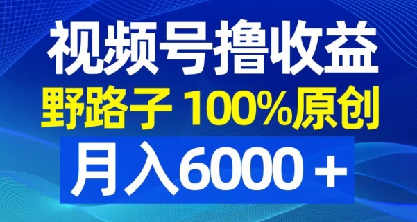 视频号野路子撸收益，100%原创，条条爆款，月入6000＋【揭秘】-翻身站