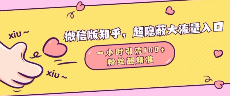 微信版知乎，超隐蔽流量入口1小时引流100人，粉丝质量超高【揭秘】-翻身站