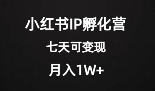 价值2000+的小红书IP孵化营项目，超级大蓝海，七天即可开始变现，稳定月入1W+-翻身站