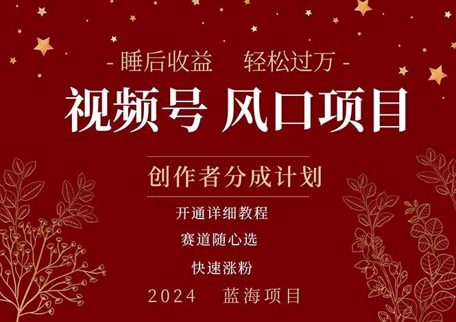拥有睡眠收益的微信视频号大风口项目，轻松月入过万+，多赛道选择，可…-翻身站