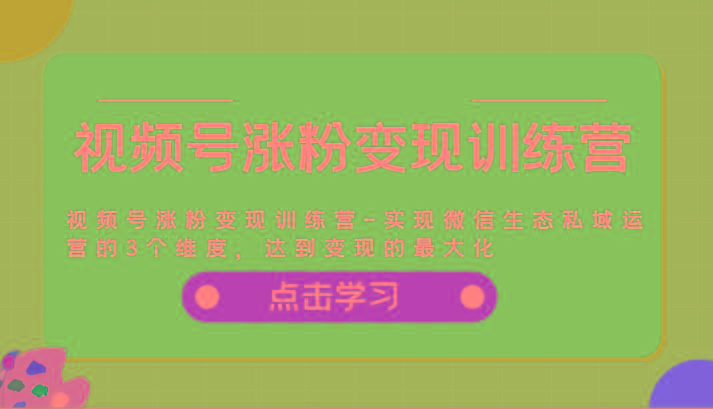 视频号涨粉变现训练营-实现微信生态私域运营的3个维度，达到变现的最大化-翻身站