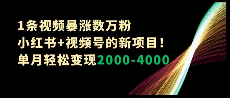 1条视频暴涨数万粉–小红书+视频号的新项目！单月轻松变现2000-4000【揭秘】-翻身站
