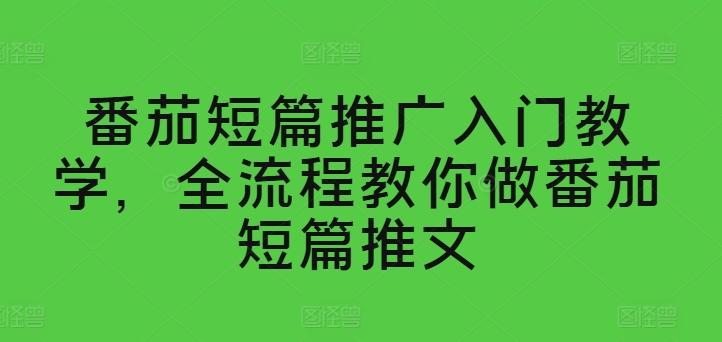 番茄短篇推广入门教学，全流程教你做番茄短篇推文-翻身站