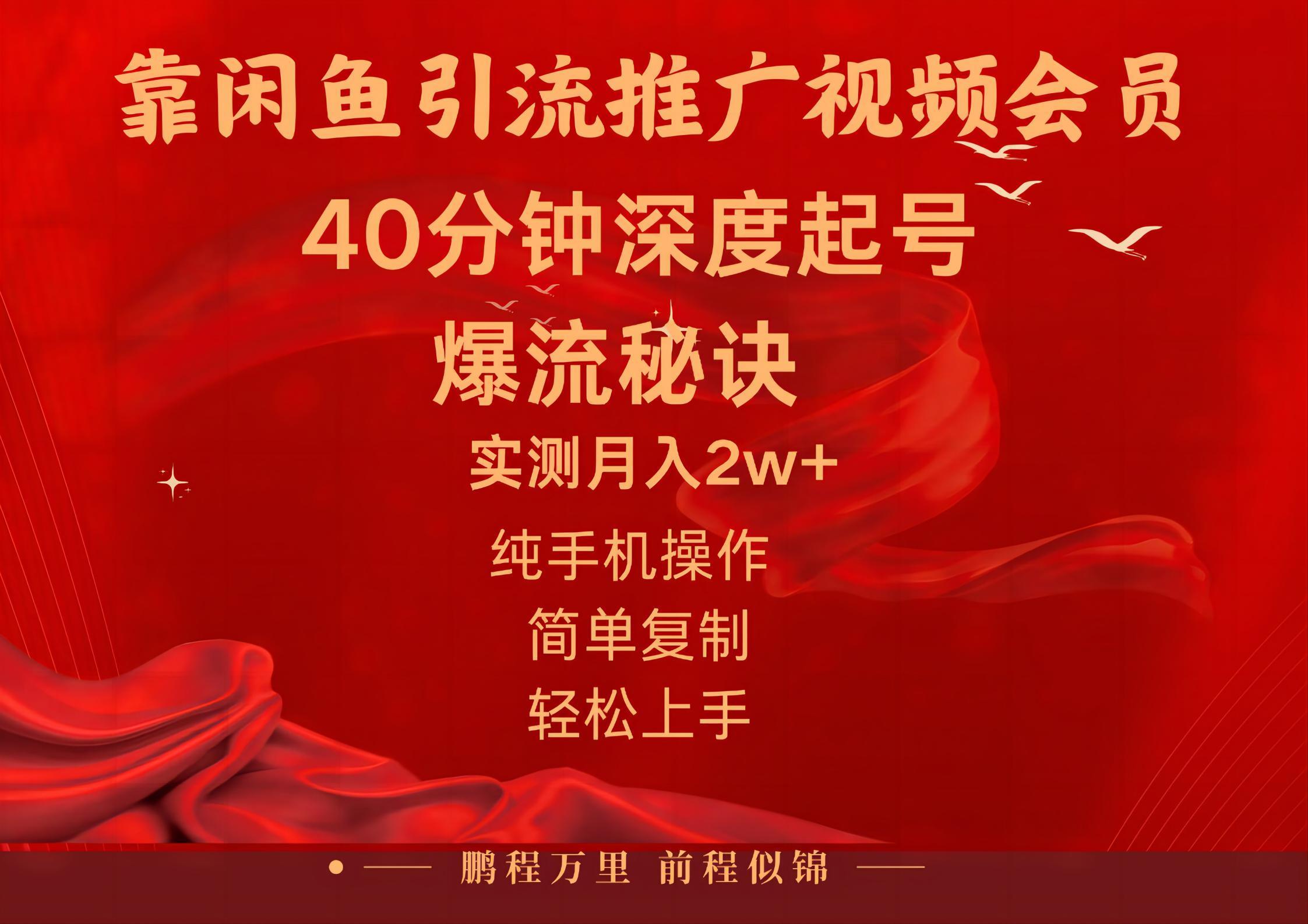 闲鱼暴力引流推广视频会员，能做到日入2W+，操作简单-翻身站