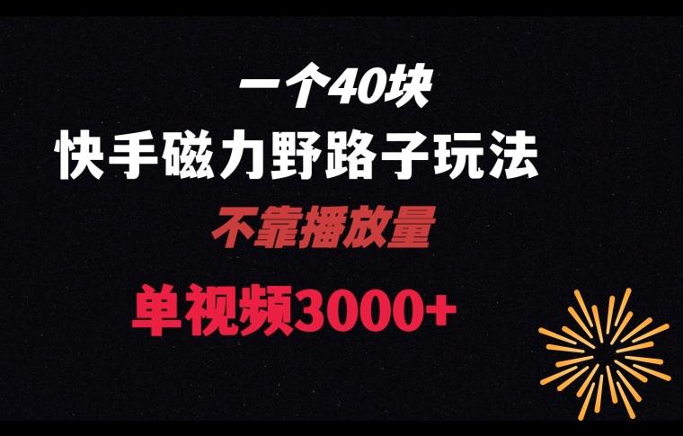 一个40块，快手联合美团磁力新玩法，无视机制野路子玩法，单视频收益4位数【揭秘】-翻身站