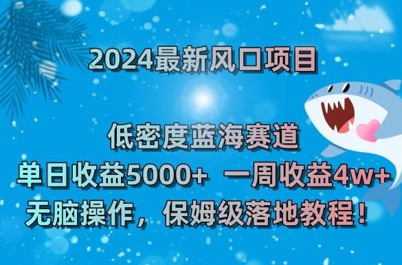 2024最新风口项目，低密度蓝海赛道，单日收益5000+，一周收益4w+！【揭秘】-翻身站