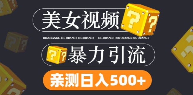 搬运tk美女视频全网分发，日引s粉300+，轻松变现，不限流量不封号【揭秘】-翻身站