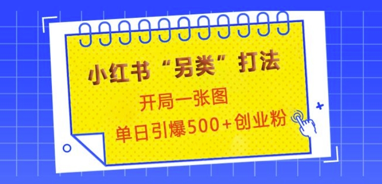小红书“另类”打法，开局一张图，单日引爆500+精准创业粉【揭秘】-翻身站