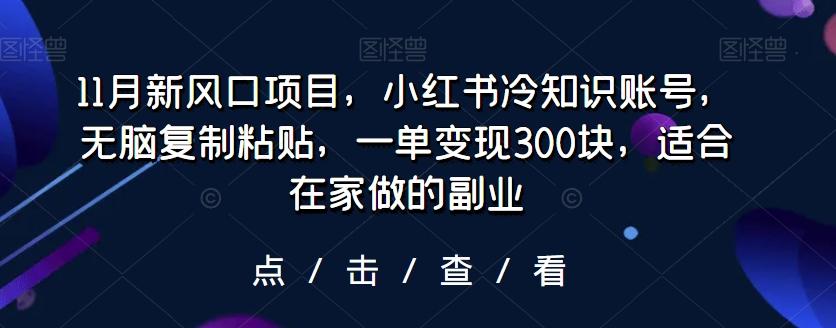 11月新风口项目，小红书冷知识账号，无脑复制粘贴，一单变现300块，适合在家做的副业-翻身站