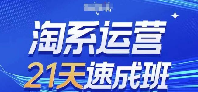 淘系运营21天速成班(更新24年7月)，0基础轻松搞定淘系运营，不做假把式-翻身站