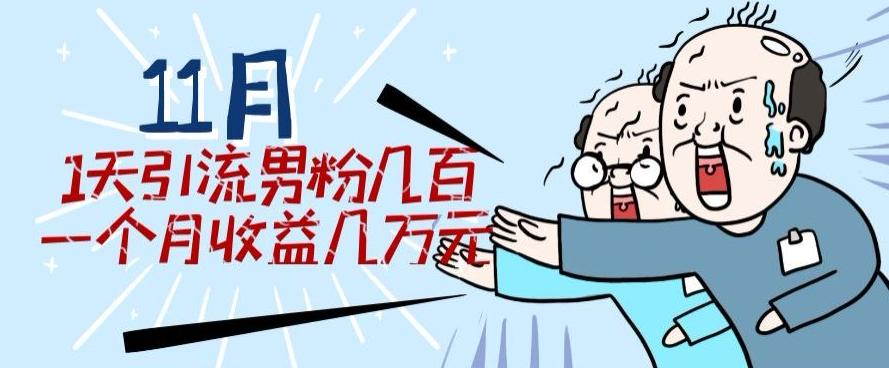 11月最新每天引流男粉300+一个月收益几万元-翻身站
