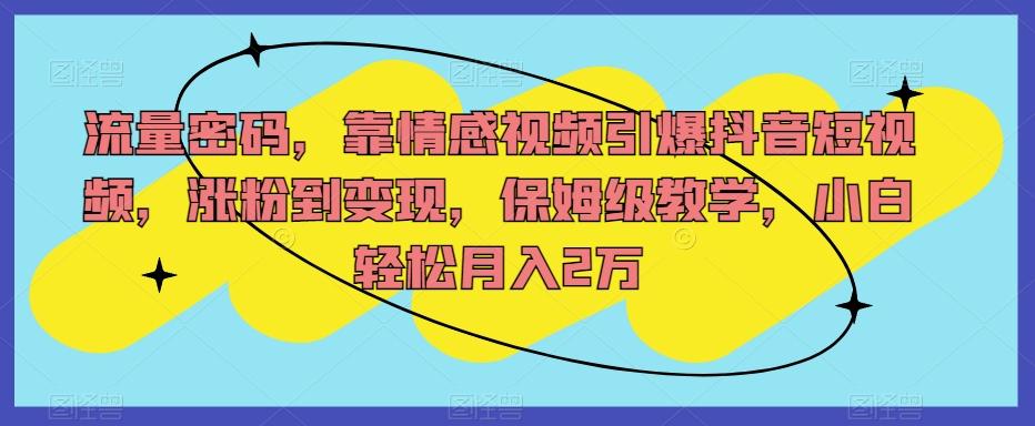 流量密码，靠情感视频引爆抖音短视频，涨粉到变现，保姆级教学，小白轻松月入2万【揭秘】-翻身站