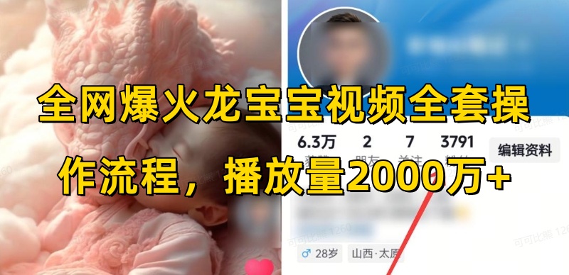 全网爆火龙宝宝视频全套操作流程，播放量2000万+-翻身站