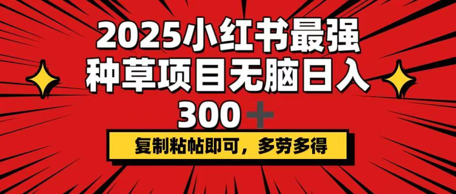 2025小红书最强种草项目，无脑日入300+，复制粘帖即可，多劳多得-翻身站
