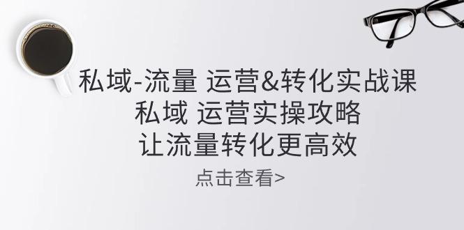 私域-流量 运营&转化实操课：私域 运营实操攻略 让流量转化更高效-翻身站