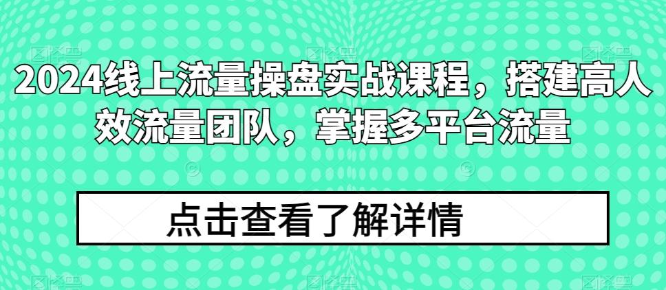 2024线上流量操盘实战课程，搭建高人效流量团队，掌握多平台流量-翻身站