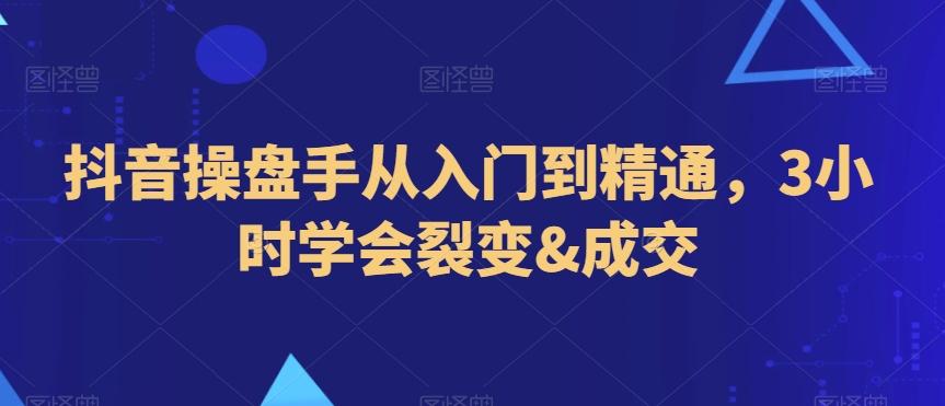 抖音操盘手从入门到精通，3小时学会裂变&成交-翻身站