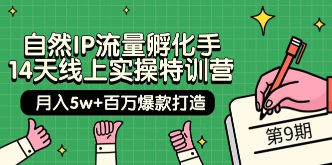 (9881期)自然IP流量孵化手 14天线上实操特训营【第9期】月入5w+百万爆款打造 (74节)-翻身站