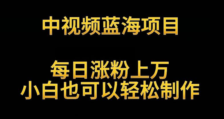 中视频蓝海项目，解读英雄人物生平，每日涨粉上万，小白也可以轻松制作，月入过万不是梦【揭秘】-翻身站