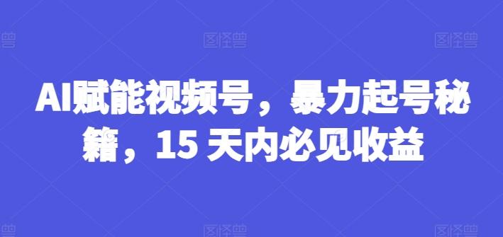 AI赋能视频号，暴力起号秘籍，15 天内必见收益【揭秘】-翻身站