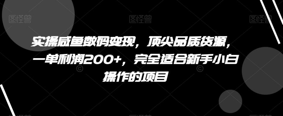 实操咸鱼数码变现，顶尖品质货源，一单利润200+，完全适合新手小白操作的项目【揭秘】-翻身站