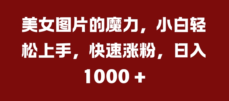 美女图片的魔力，小白轻松上手，快速涨粉，日入几张【揭秘】-翻身站