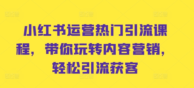 小红书运营热门引流课程，带你玩转内容营销，轻松引流获客-翻身站